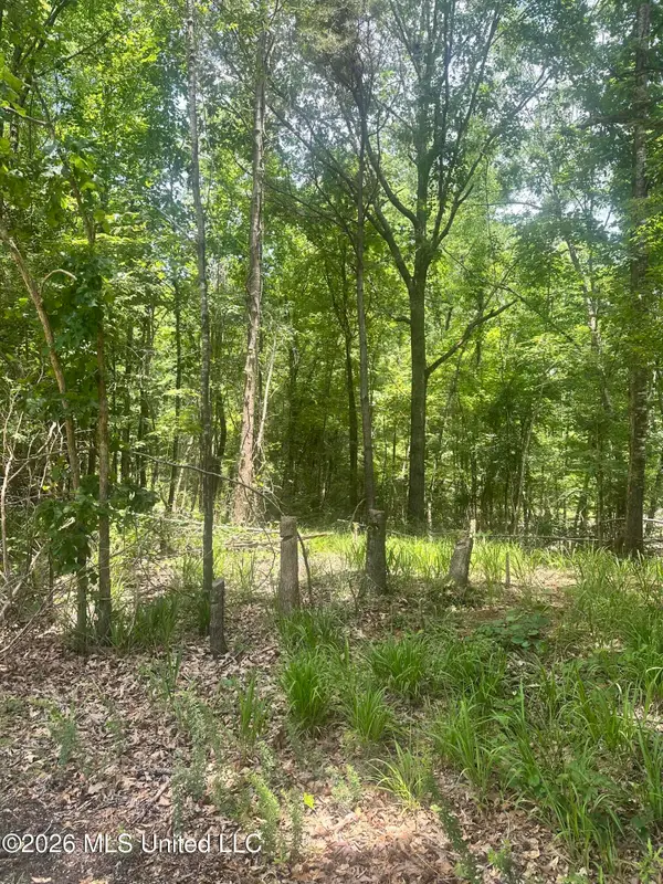 Lakeridge Road, Grenada, MS 38901