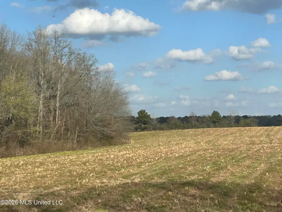 Old Hillsboro Road, Forest, MS 39074 - #2
