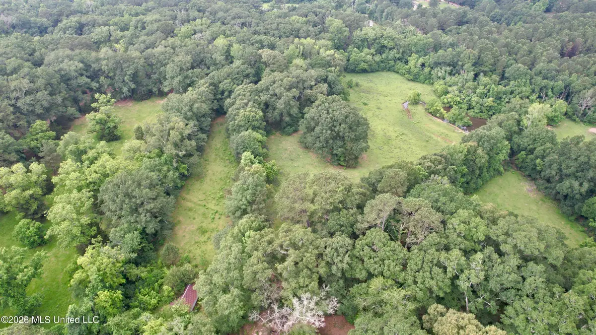 1015 Highway 51, Summit, MS 39666 - #1