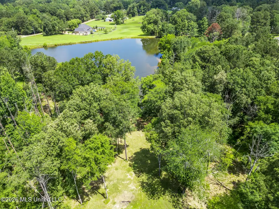 117 Blueberry Hill Lane, Clinton, MS 39056 - #3