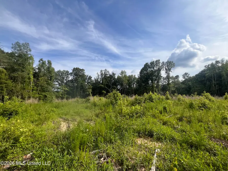 Pettey Road, Forest, MS 39074 - #2