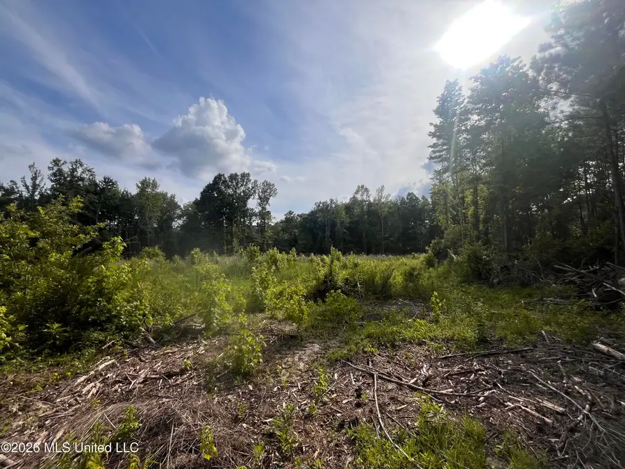Pettey Road, Forest, MS 39074 - #3
