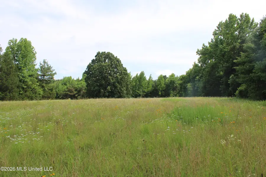 0 Turner Cove, Holly Springs, MS 38635 - #3