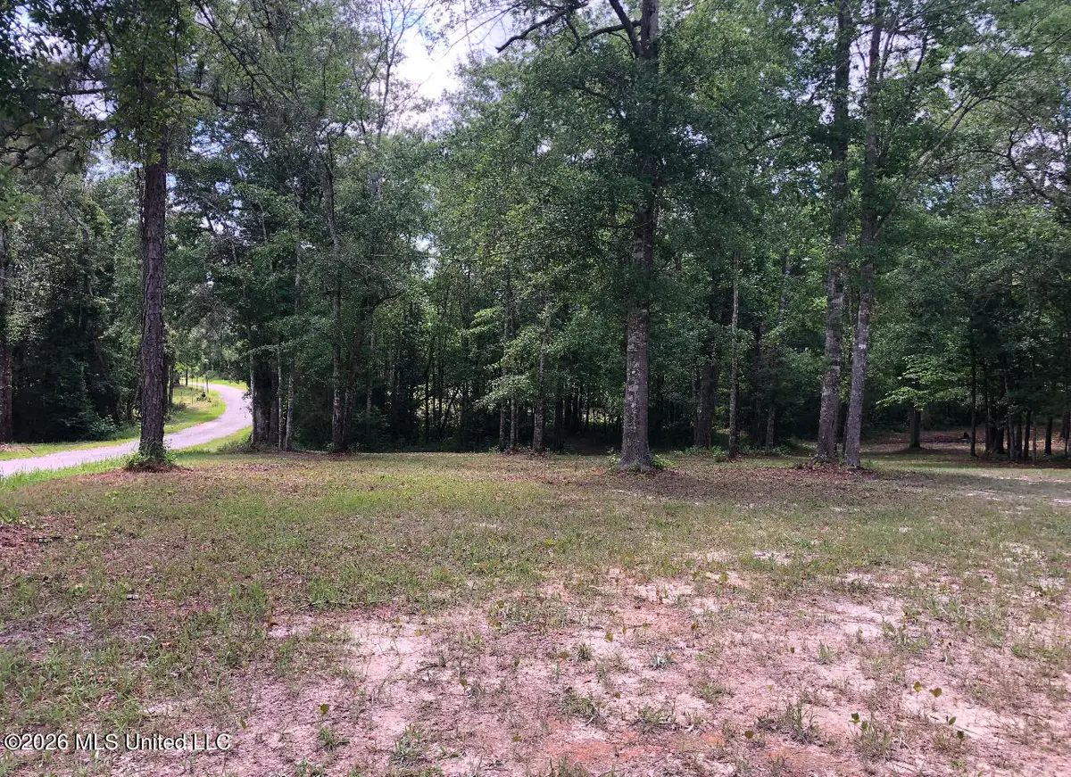 2.88ac Morrison Drive, Lucedale, MS 39452 - #1