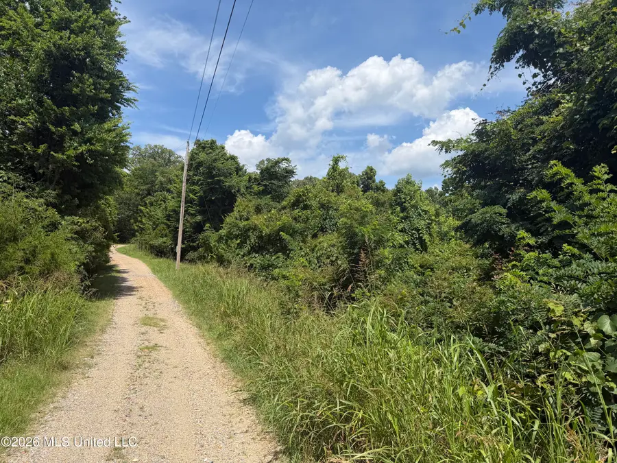 301a N Fairview Drive, Vicksburg, MS 39180 - #2