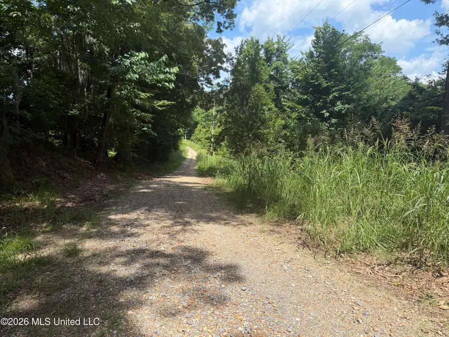 301a N Fairview Drive, Vicksburg, MS 39180 - #3