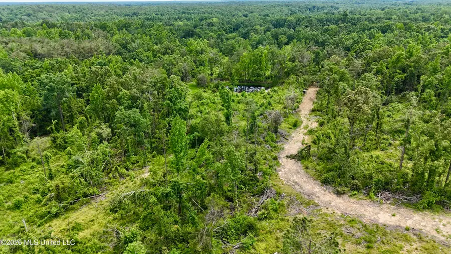 Holly Grove-meeks Road, Cruger, MS 38924 - #2