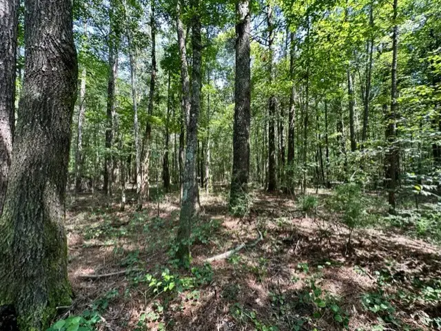 Lee Bass Road, Pinola, MS 39149 - #2