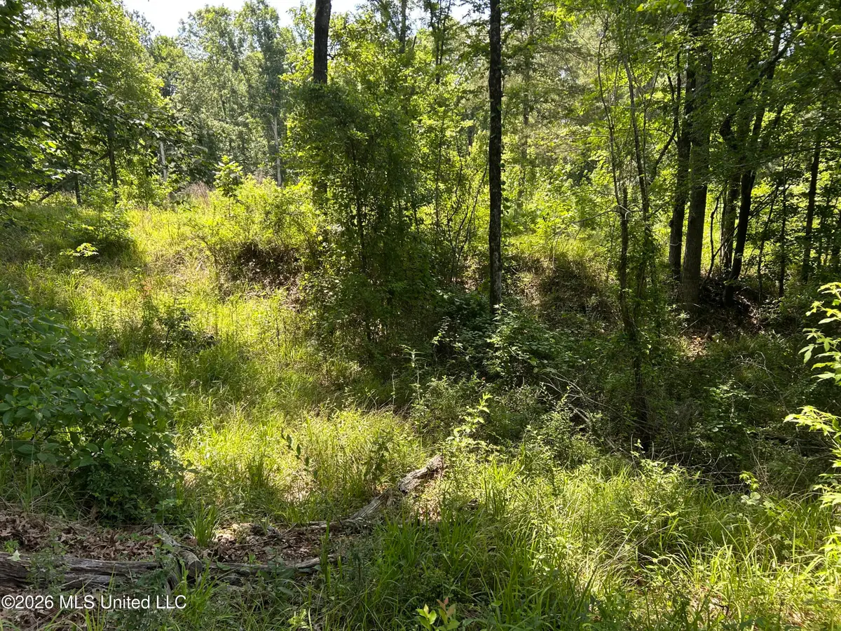 Sleepy Hollow Road, Terry, MS 39170 - #1