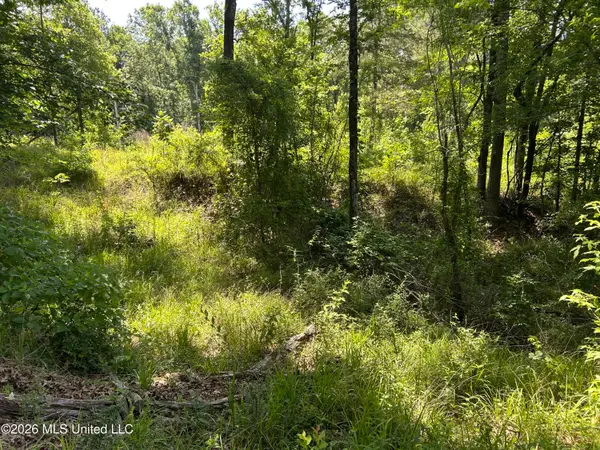 Sleepy Hollow Road, Terry, MS 39170