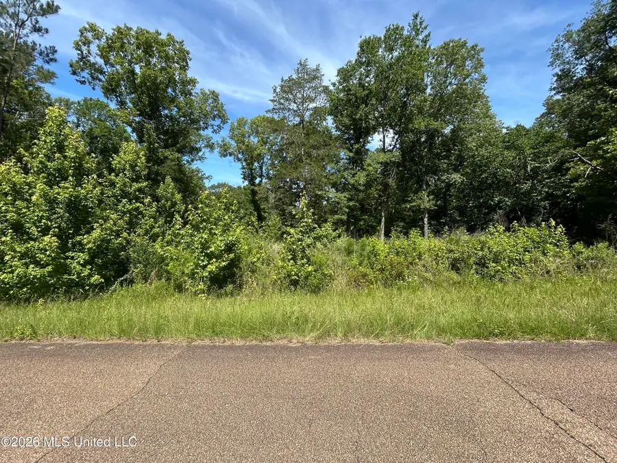 Sleepy Hollow Road, Terry, MS 39170 - #2
