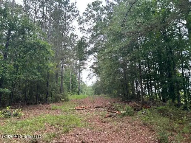 301 Freeman Road, Summit, MS 39666 - #3