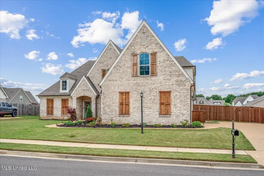 6585 Cataloochee Lane, Olive Branch, MS 38654 - #3