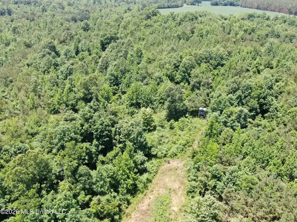 0 Scruggs Road, Holly Springs, MS 38635