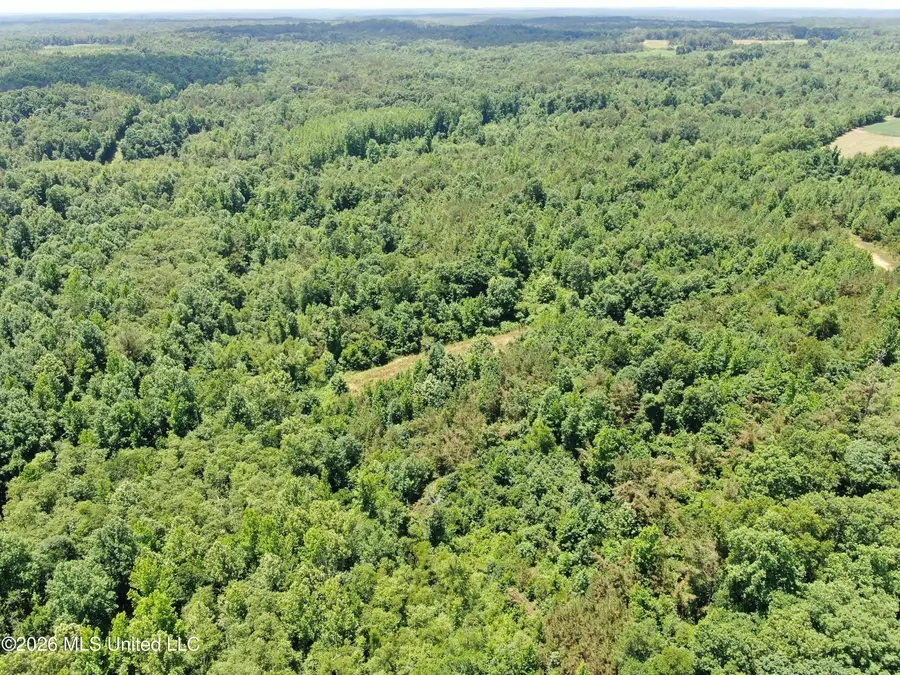 0 Scruggs Road, Holly Springs, MS 38635 - #3