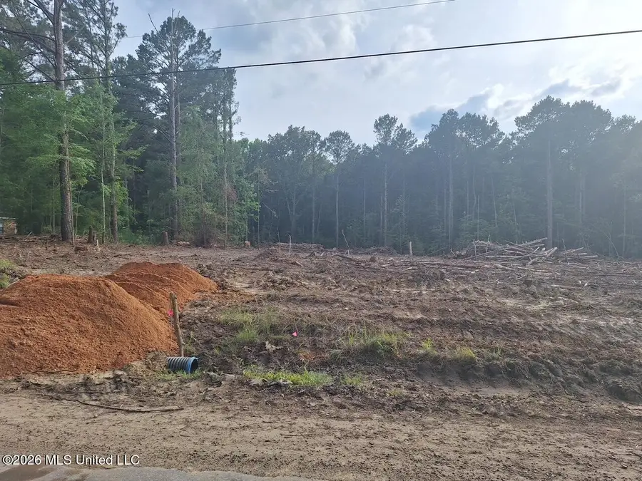 709 Old Pinola Braxton Road, Braxton, MS 39044 - #2