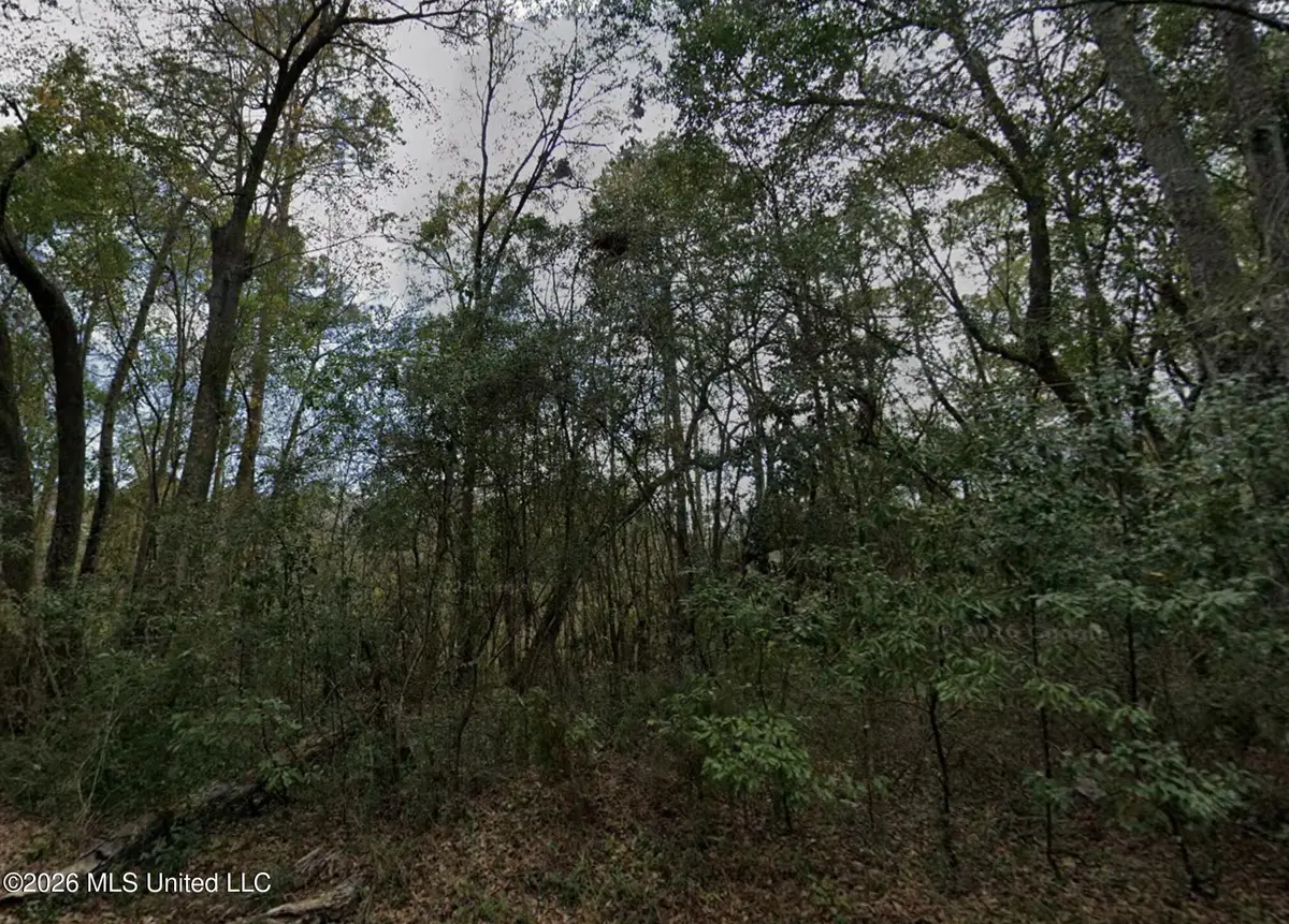 Gregory Street, Moss Point, MS 39563 - #1