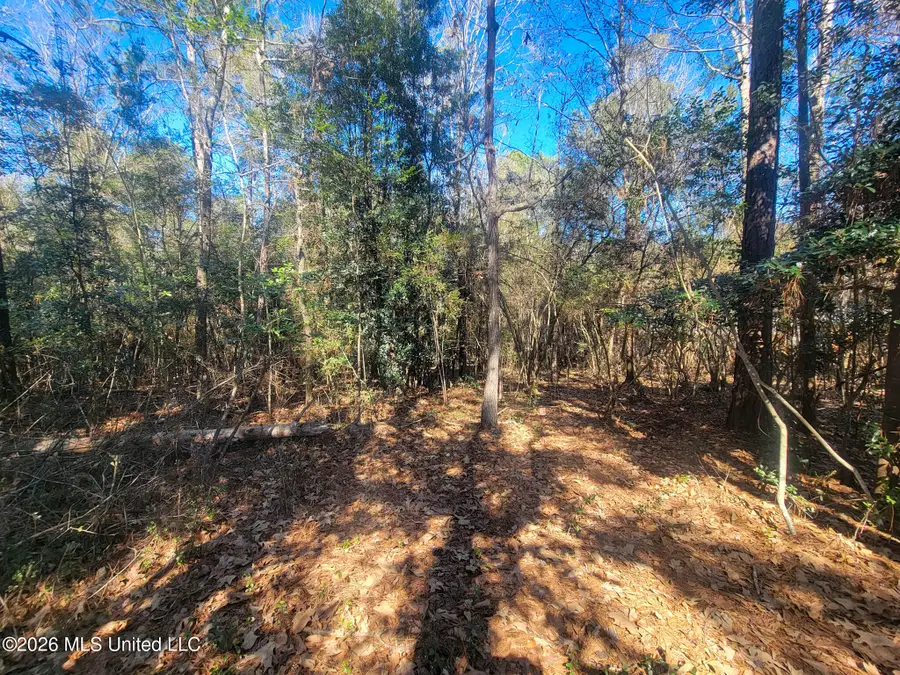 97165 Kapalama Drive, Diamondhead, MS 39525 - #2