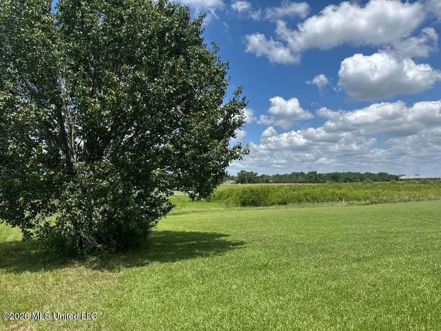 66 Lovorn Court, Flora, MS 39071 - #2