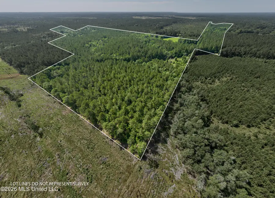 Ab Jordan Drive, Richton, MS 39476 - #3