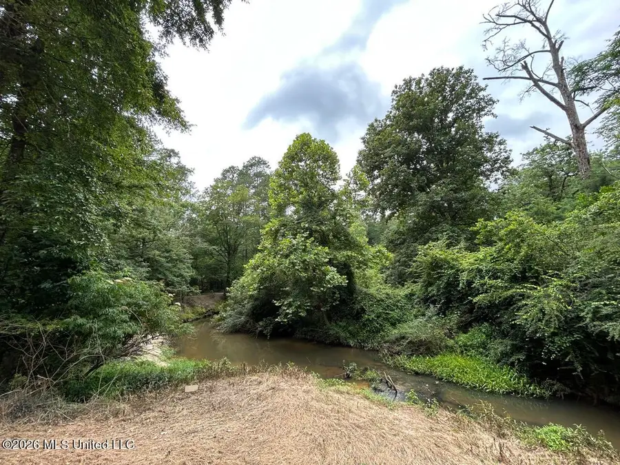 6642 Grange Hall Road, Osyka, MS 39657 - #3