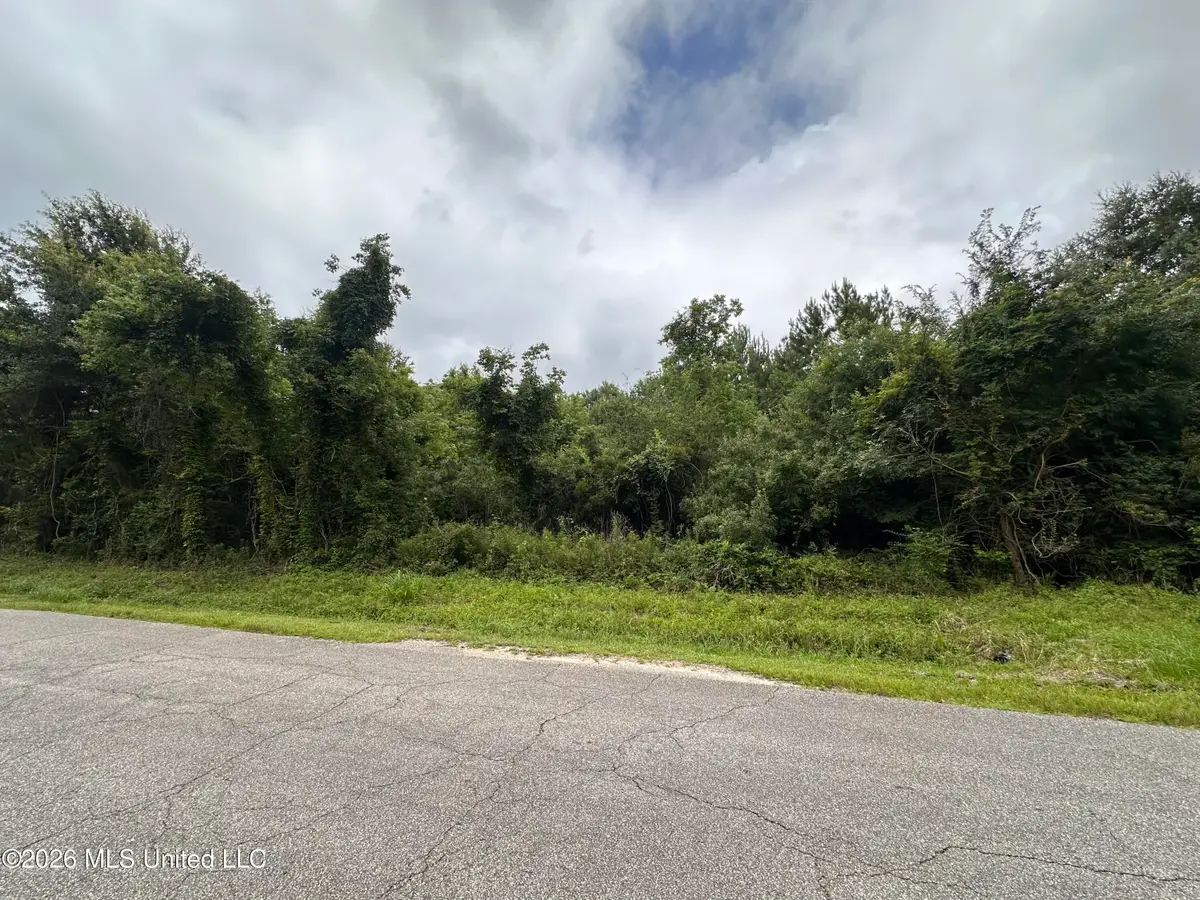 Forest Avenue, Bay Saint Louis, MS 39520 - #1
