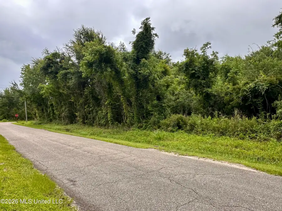 Forest Avenue, Bay Saint Louis, MS 39520 - #3