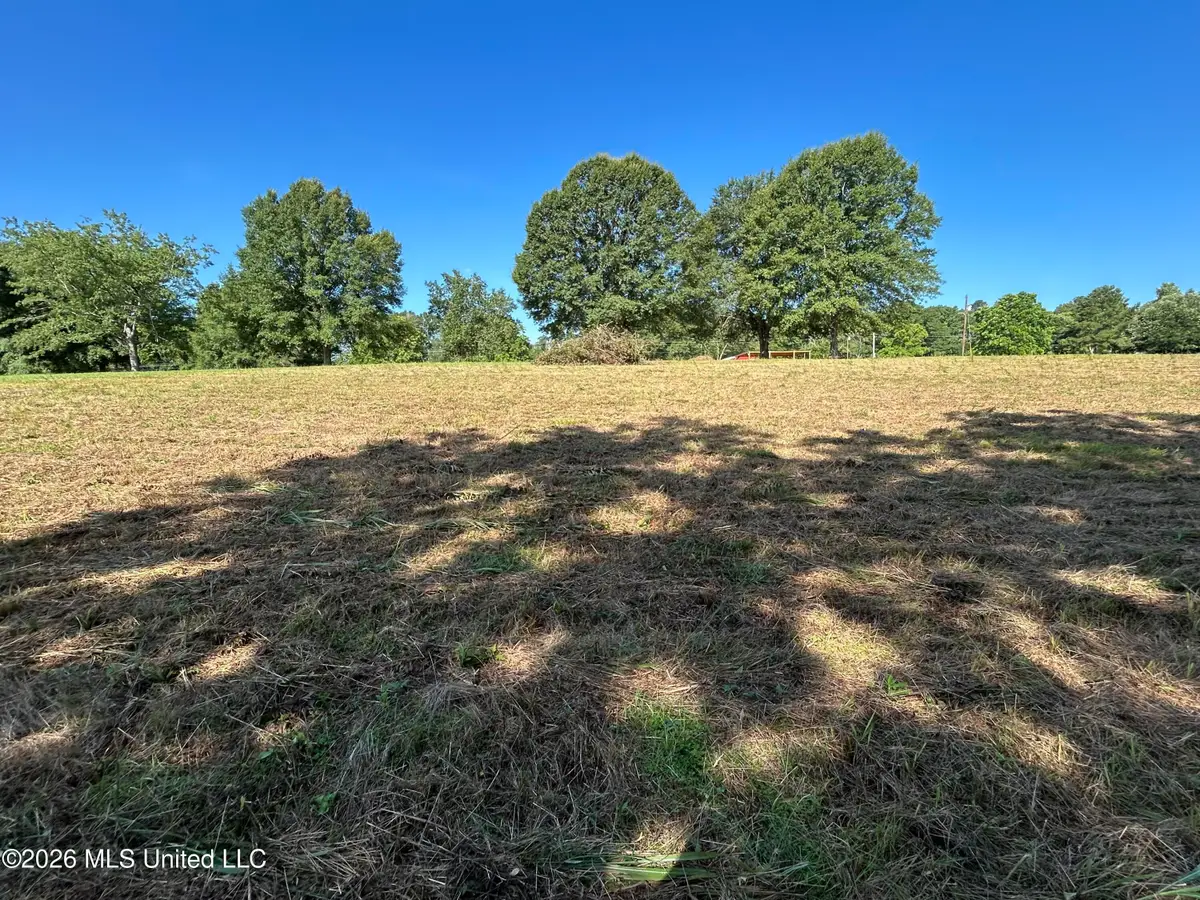 0000 Willis Cotton Road, Summit, MS 39666 - #1