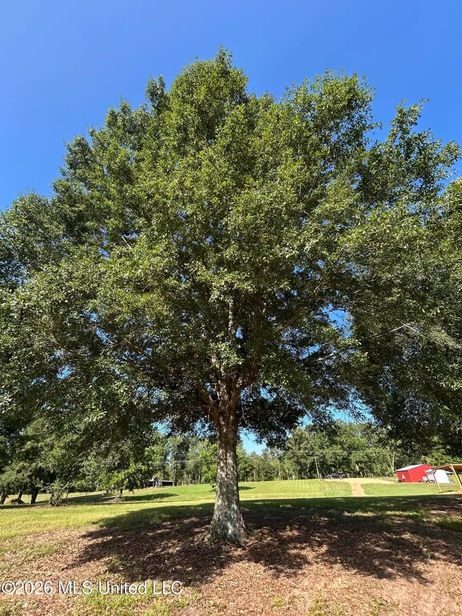 0000 Willis Cotton Road, Summit, MS 39666 - #2