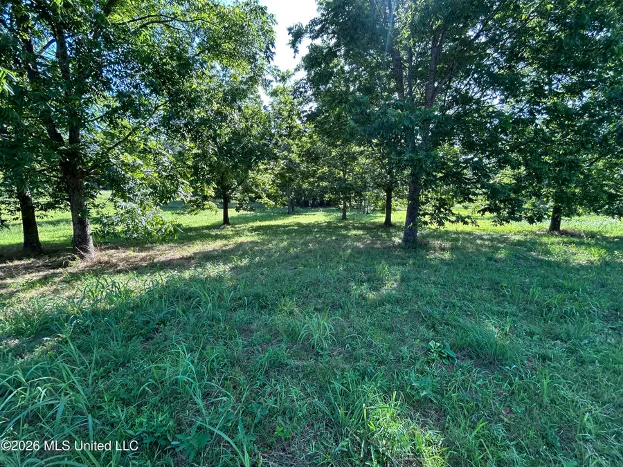 0000 Willis Cotton Road, Summit, MS 39666 - #3