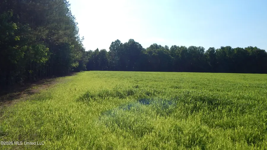 500 Cr 247 Country Road, Bruce, MS 38915 - #3