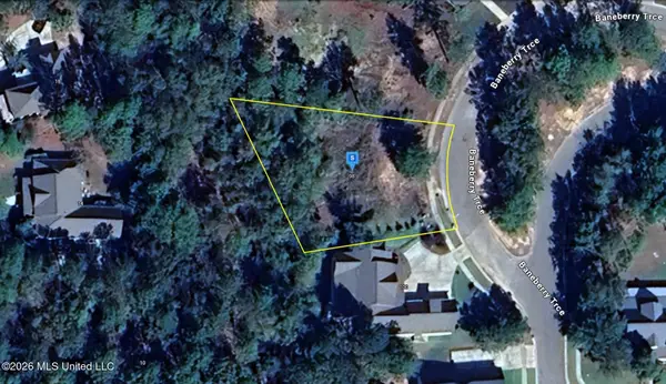 98 Baneberry Trace, Hattiesburg, MS 39402