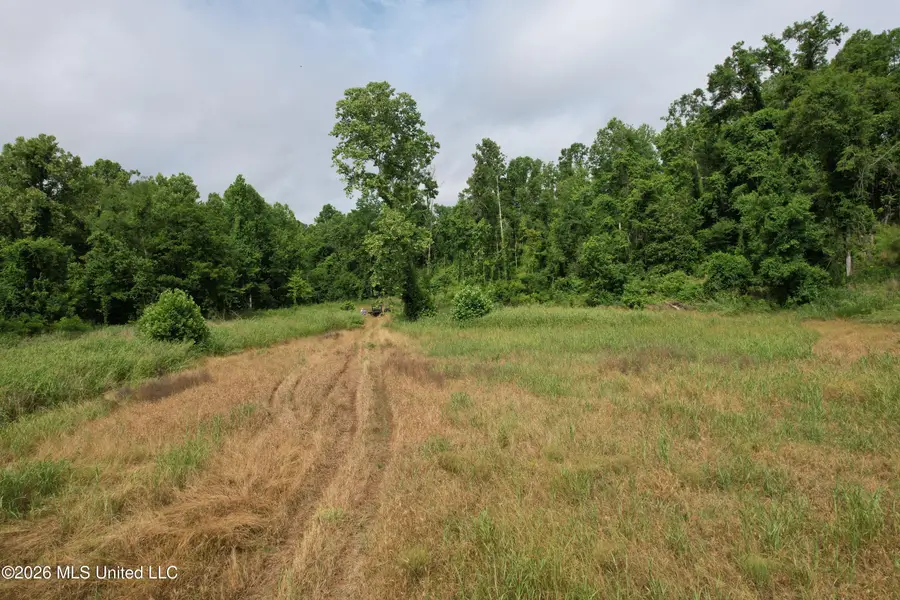 1181 Gowall Road, Vicksburg, MS 39183 - #3