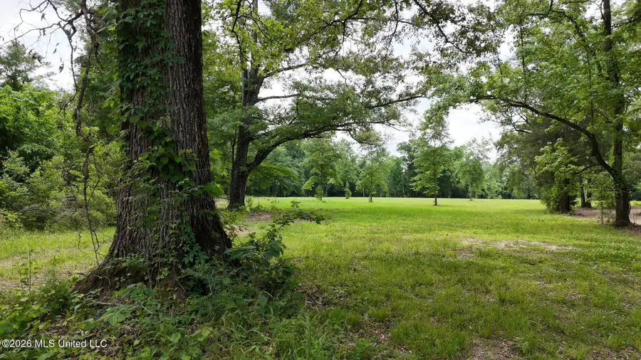 00 Dogwood Road, Vicksburg, MS 39180 - #2