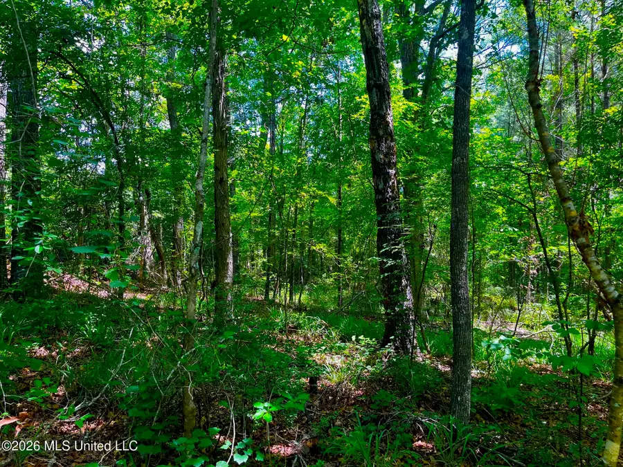 F E Sellers Highway, Monticello, MS 39654 - #2