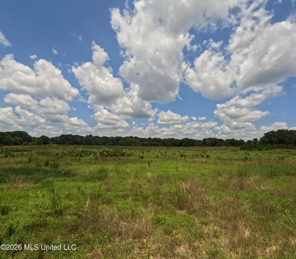 Old Port Gibson/cook Rd Road, Utica, MS 39175 - #1
