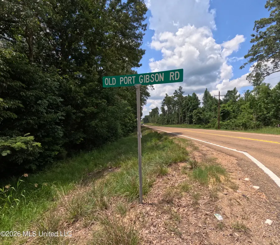 Old Port Gibson/cook Rd Road, Utica, MS 39175 - #2