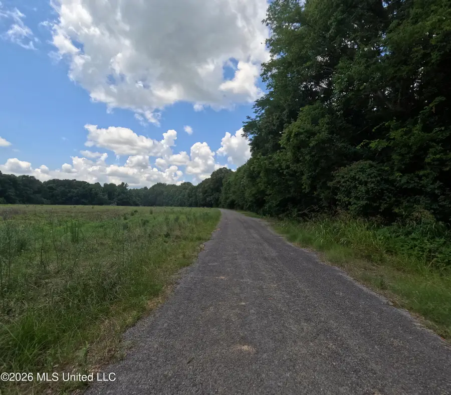 Old Port Gibson/cook Rd Road, Utica, MS 39175 - #3