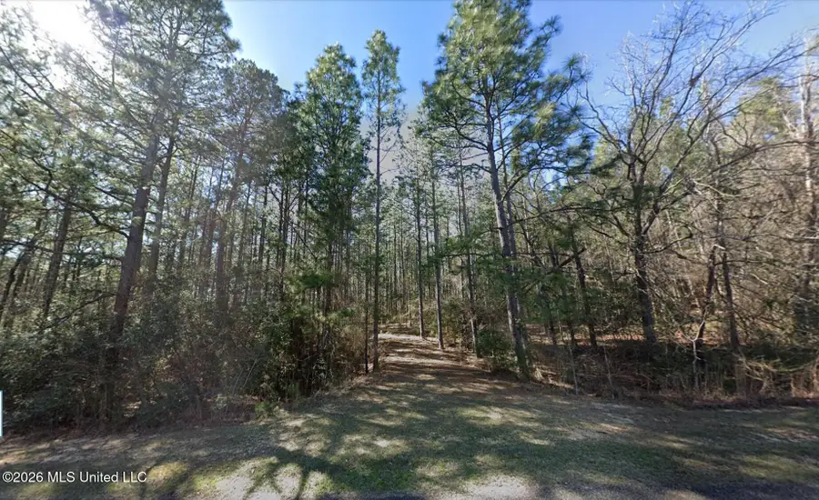 169 E Bay Drive, Lumberton, MS 39455 - #2