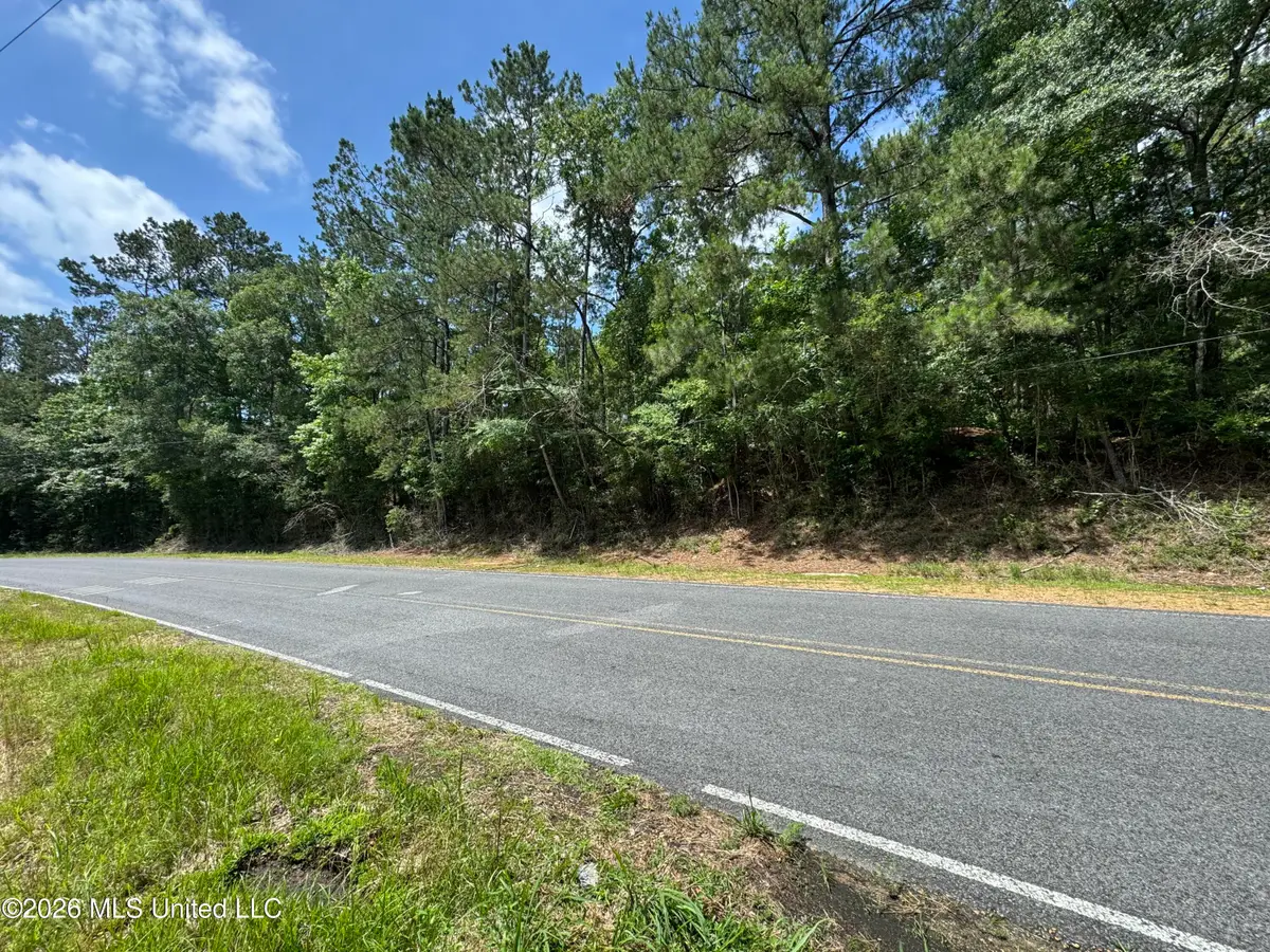 Berwick Cassels/ Hwy 48 Road, Liberty, MS 39645 - #1