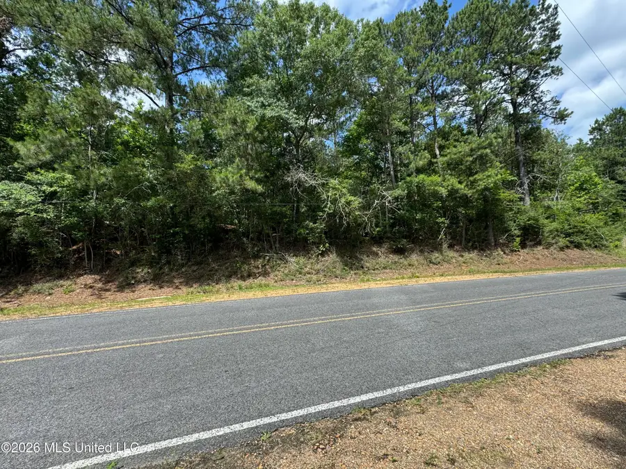 Berwick Cassels/ Hwy 48 Road, Liberty, MS 39645 - #2