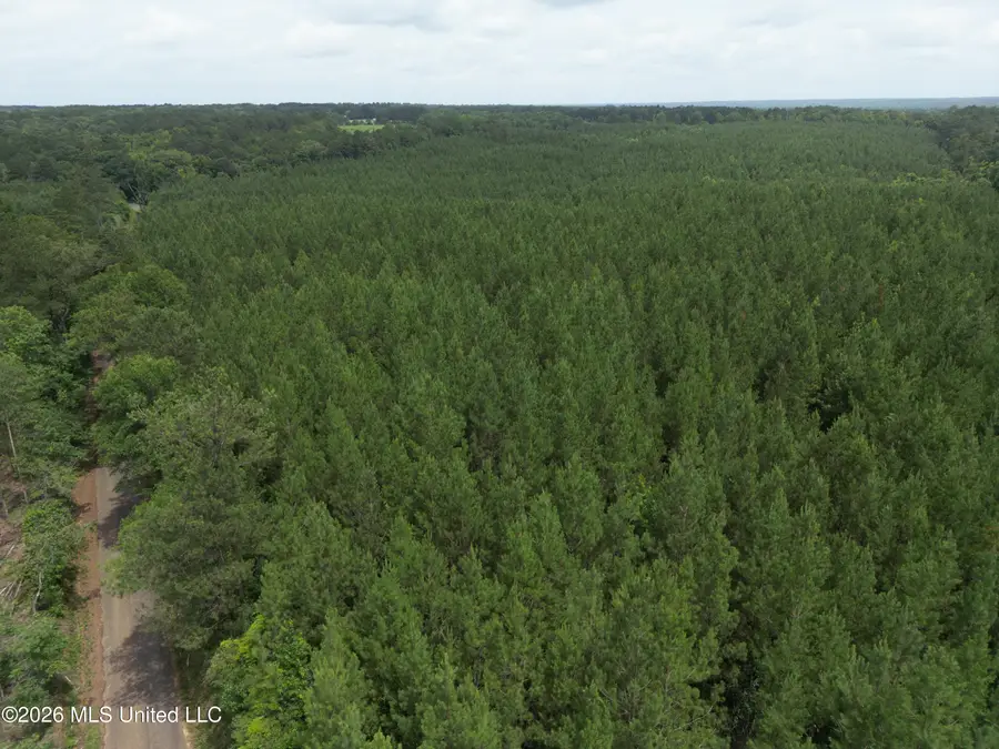 Summit Holmesville Road, McComb, MS 39648 - #2