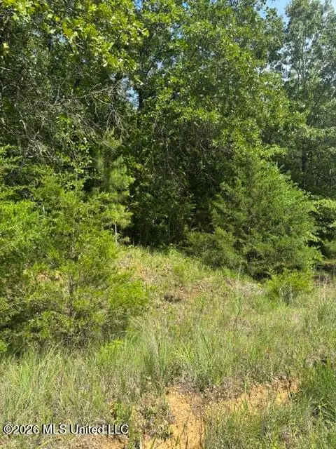 139 David Cove, Byhalia, MS 38611 - #1