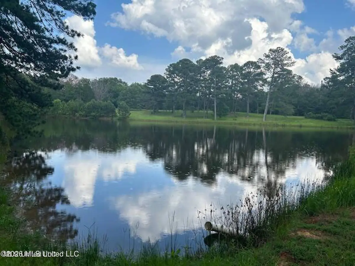 229 12 Oaks Trace, Canton, MS 39046 - #1