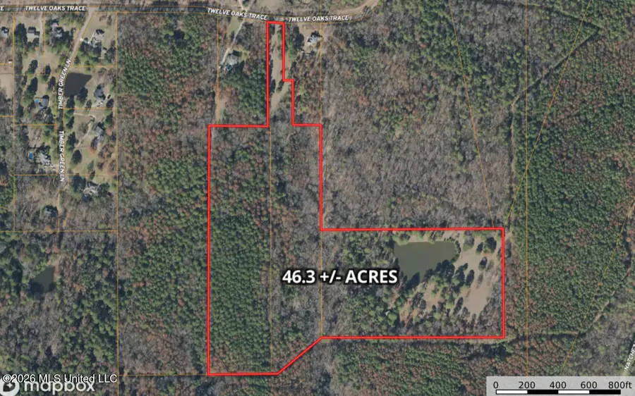 229 12 Oaks Trace, Canton, MS 39046 - #2