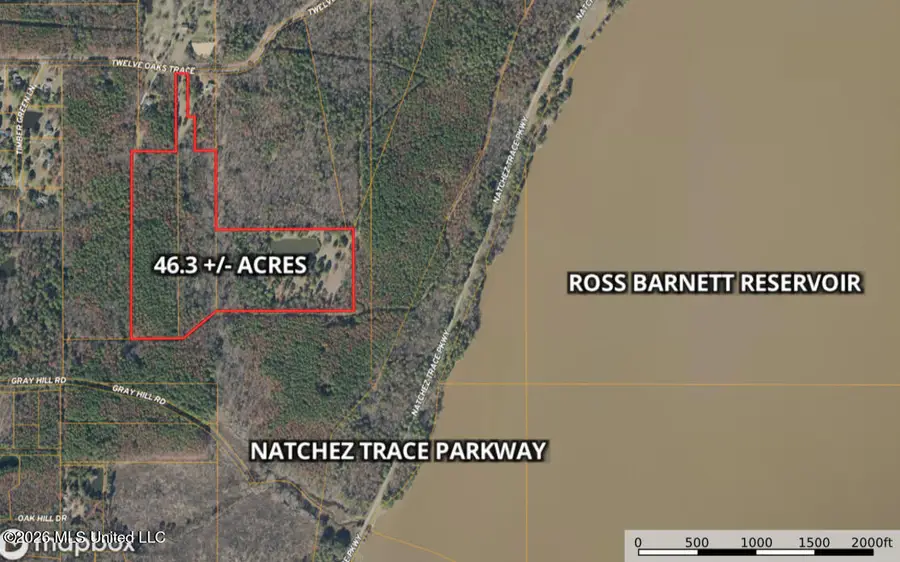229 12 Oaks Trace, Canton, MS 39046 - #3