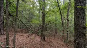 633 Lowhead Dam Road, Lena, MS 39094 - #1