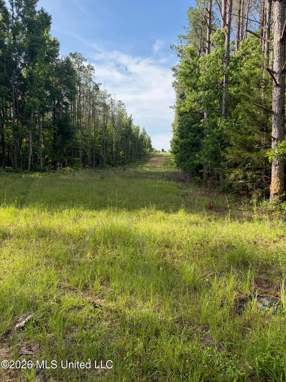 County Road 159, Coila, MS 38923 - #1