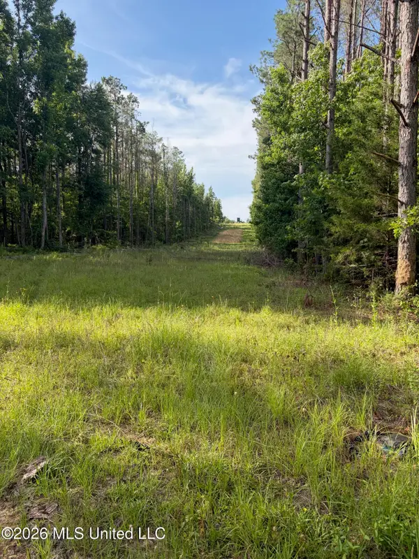 County Road 159, Coila, MS 38923