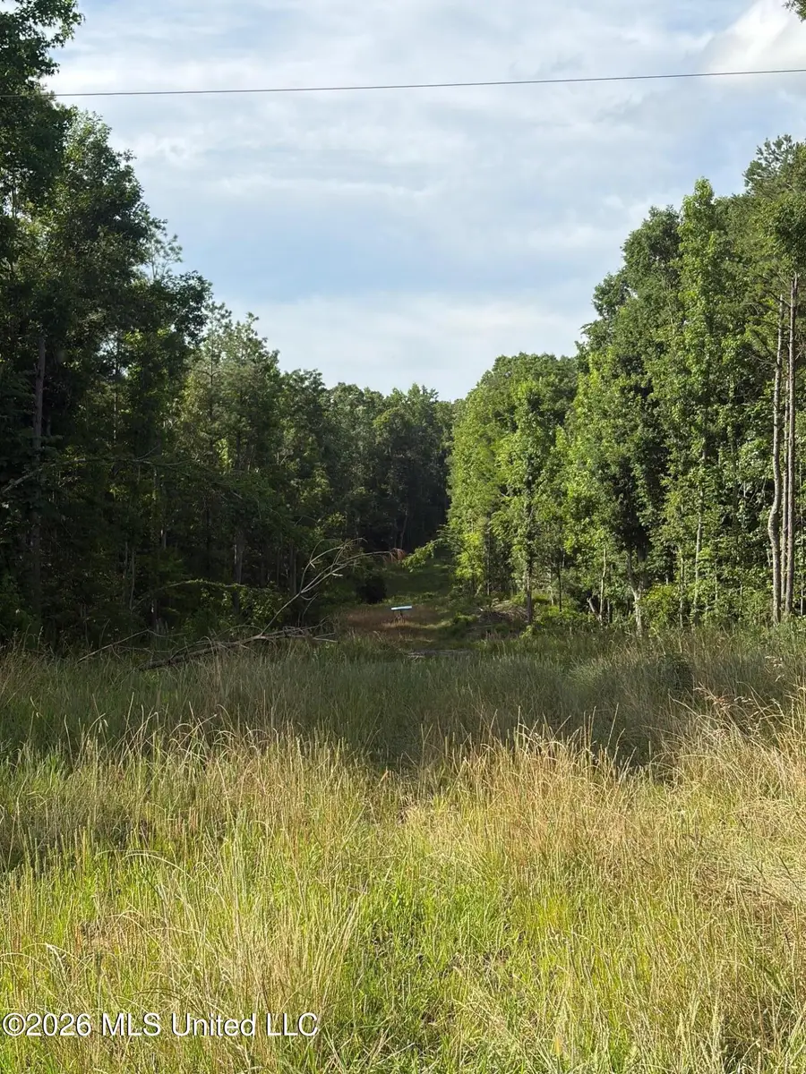 County Road 159, Coila, MS 38923 - #2